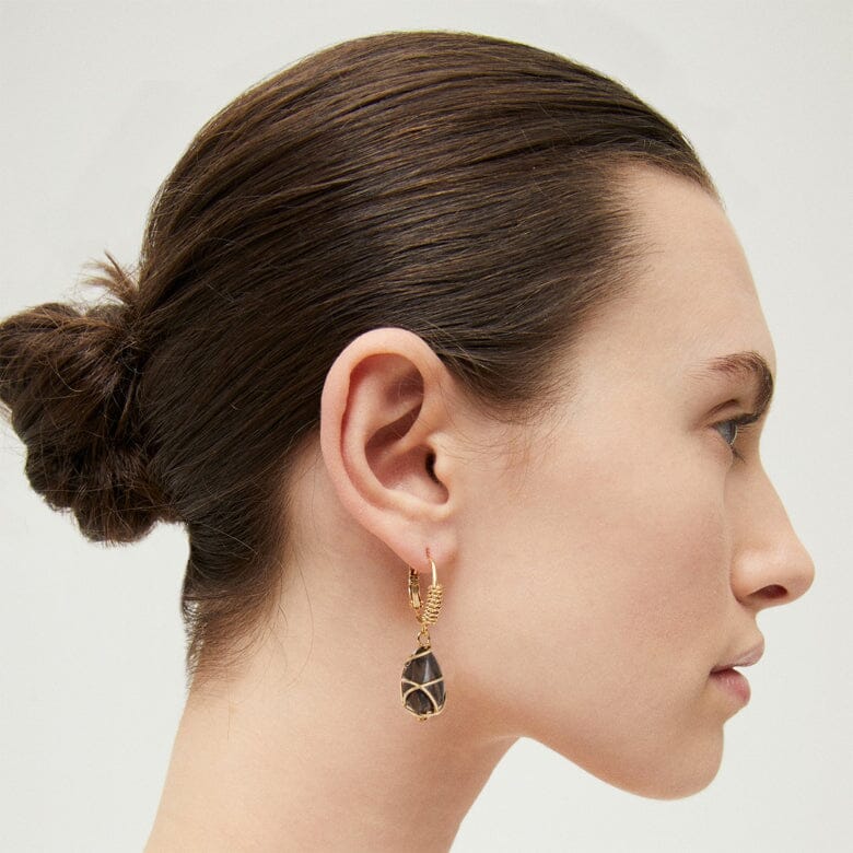 TAO RAINBOW EARRINGS SILICIFIED WOOD